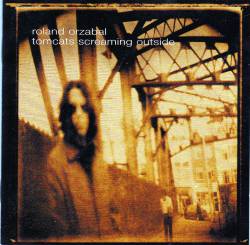 Roland Orzabal : Tomcats Screaming Outside